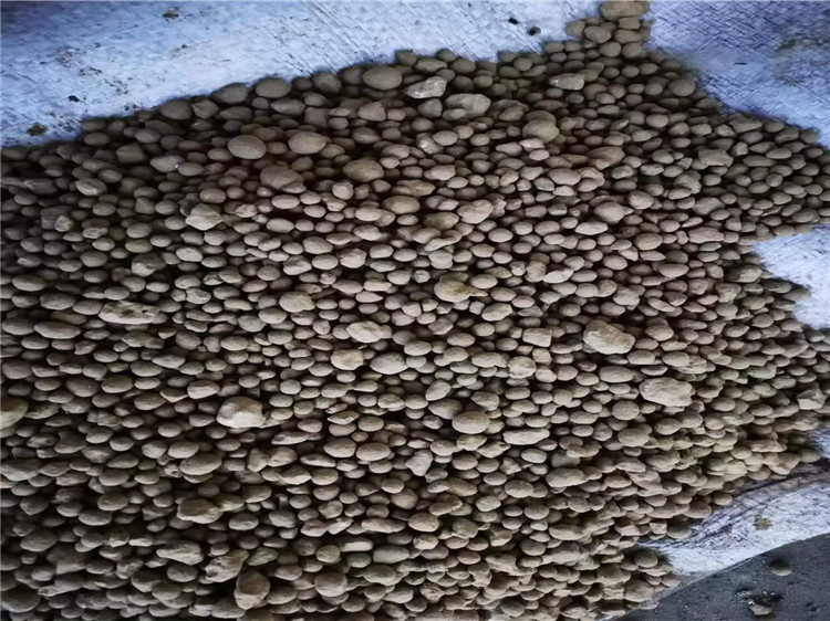 �ЙC�ʈA�P�����C�͑�ԇ�C�w��Ч��