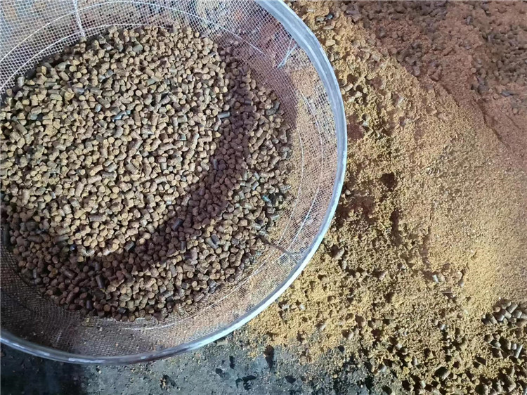 �͏N���������ЙC(j��)�������C(j��)�w��Ч��